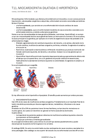 GC-11-CARDIOPATIAS.pdf