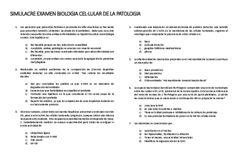 SIMULACRE-1.pdf