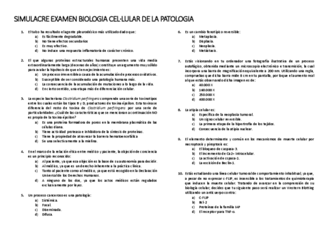 SIMULACRE-2.pdf