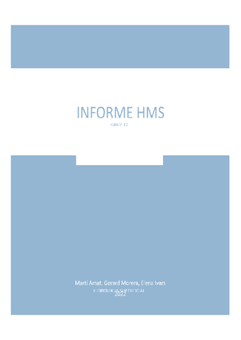 HECHMS.docx.pdf