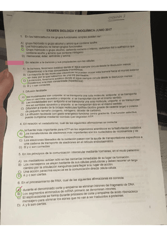 BBQ-Examen-1.pdf