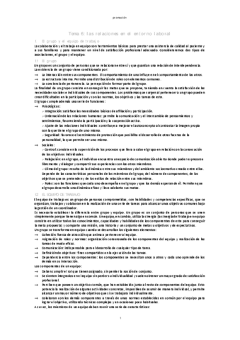 tema-6-las-relaciones-en-el-entorno-laboral.pdf