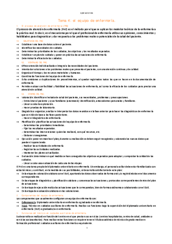 tema-4-el-equipo-de-enfermeria..pdf