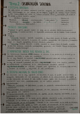 tema-2-organizacion-sanitaria.pdf