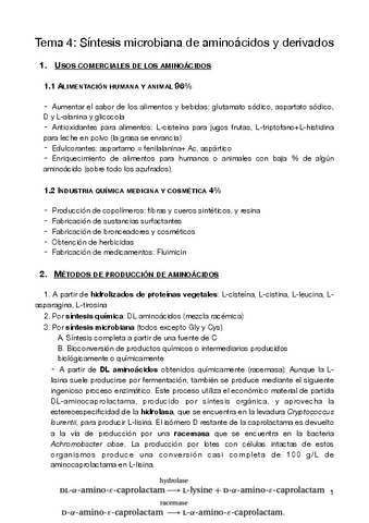 T4-OBPIIS.pdf