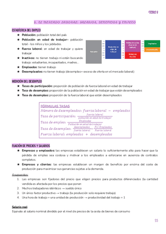 T.8-EL-MERCADO-LABORAL-SALARIOS-BENEFICIOS-Y-EMPLEO.pdf