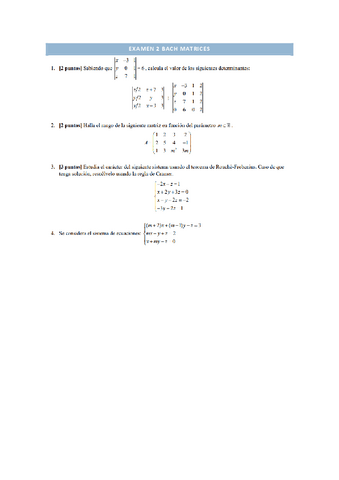 examen-matrices.pdf