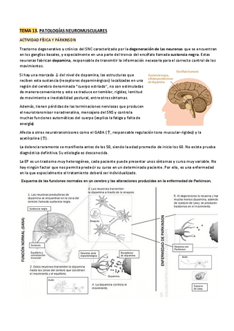 Tema13.-Patologias-Neuromusculares.pdf