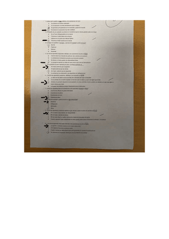 quimica-explsiones-examen.pdf