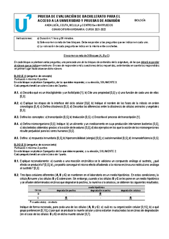 examen-8.pdf