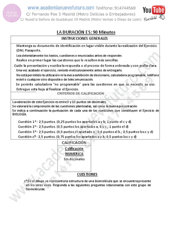 20.pdf