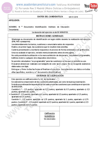 16.pdf