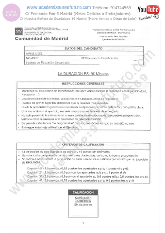 19.pdf