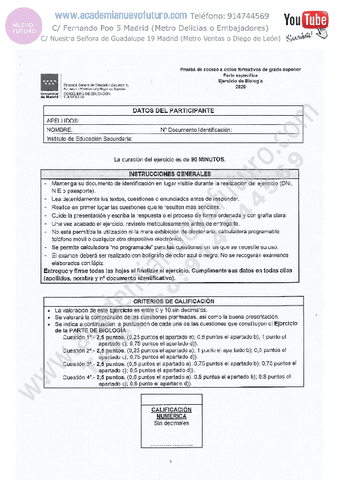 13.pdf