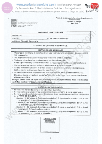 11.pdf