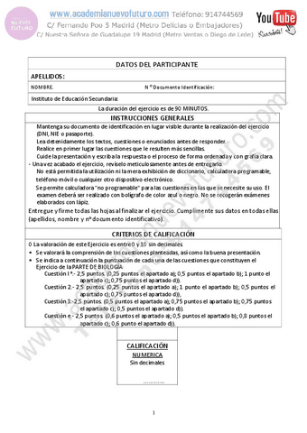 14.pdf