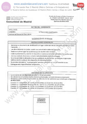 17.pdf