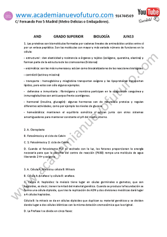 3.pdf