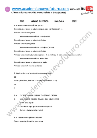 1.pdf