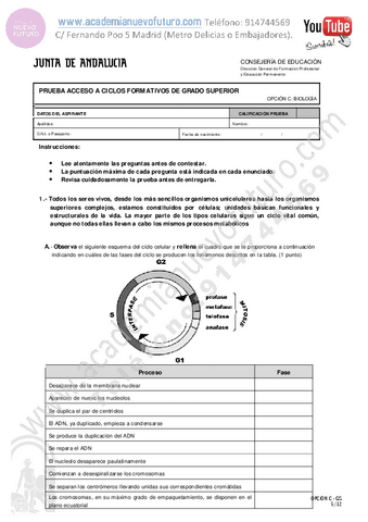 2.pdf