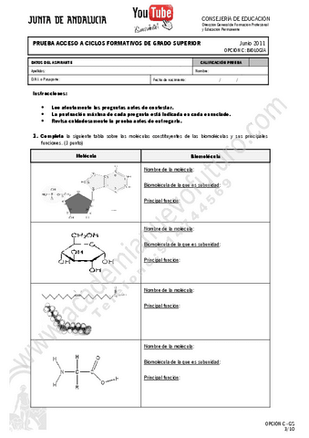 7.pdf