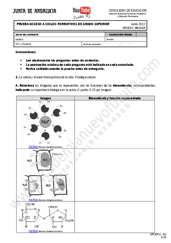 5.pdf