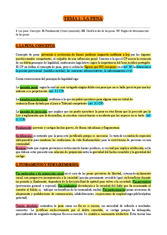 Tema-1-La-pena.pdf