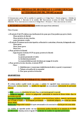TEMA-6.-MEDIDAS-DE-SEGURIDAD-Y-CONSECUENCIAS-ACCESORIAS-Documentos-de-Google.pdf