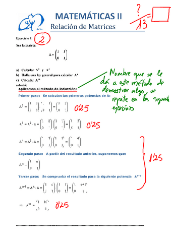 SOLRelacion14-Matrices-y-determinantes.pdf