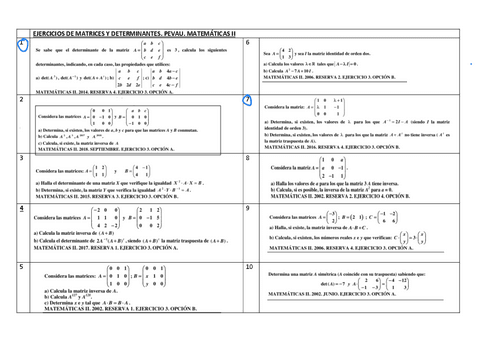 matrices-y-determinantes-PEVAU.pdf