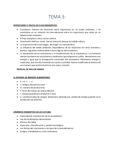 TEMA 3.pdf