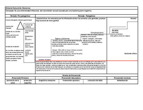 HISTORIA-NATURAL-DE-GONORREA.pdf