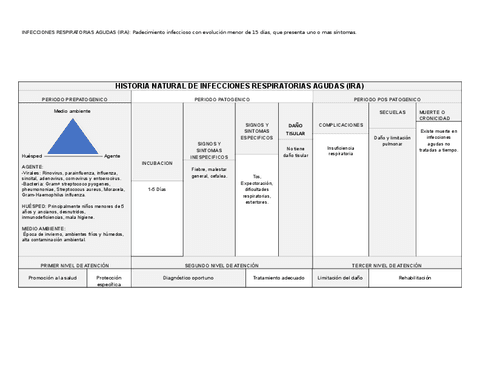 HISTORIA-NATURAL-DE-INFECCIONES-RESPIRATORIAS-AGUDAS.pdf