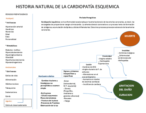 HISTORIA-NATURAL-DE-LA-CARDIOPATIA-ESQUEMICA.pdf
