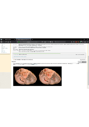 examen-imagenes-5.pdf