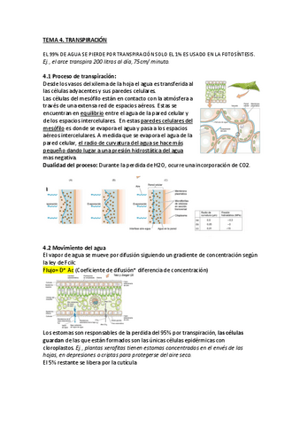 tema-4-transpiracion.pdf