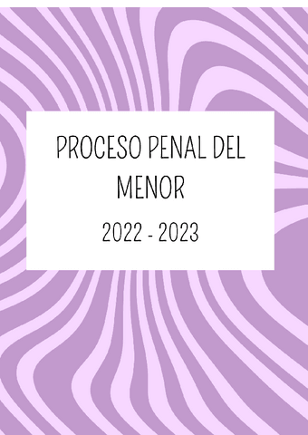 PROCESO-PENAL-DEL-MENOR.pdf