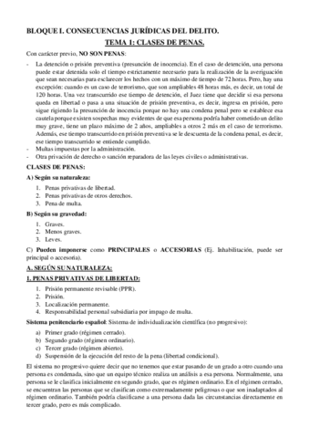 Apuntes-de-clase-Penal-II.pdf