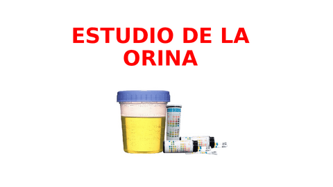 ESTUDIO-BQ-DE-LA-ORINA-FUNCION-RENAL-Y-LITIASIS.pdf