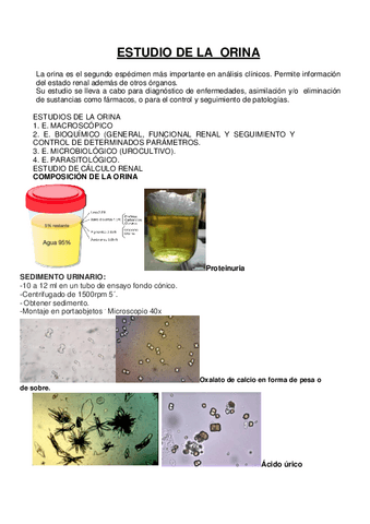 ESTUDIO-DE-LA-ORINA.pdf