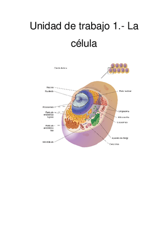 Unidad-de-trabajo-1.-La-celula.pdf