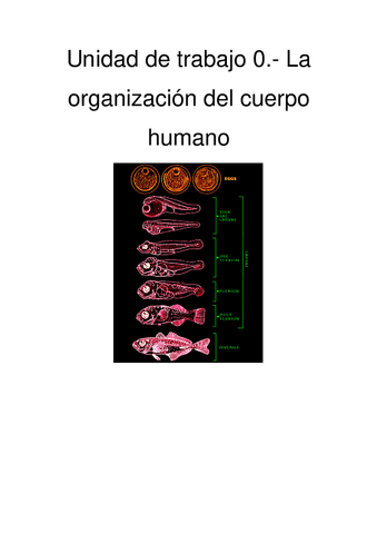 Unidad-de-trabajo-0.-Organizacion-del-cuerpo-humano.pdf