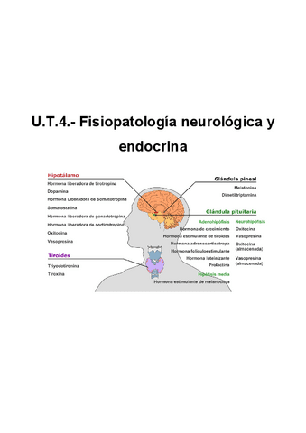 Tema-4.-Fisiopatologia-del-sistema-nervioso-y-endocrino.pdf