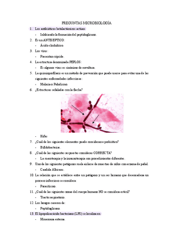 Microbiologia-Examen-1.pdf