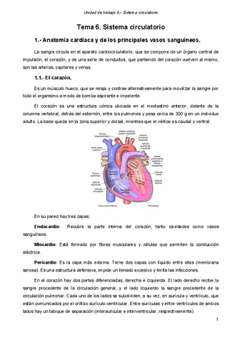 fisio-apar.ciculatorio.pdf