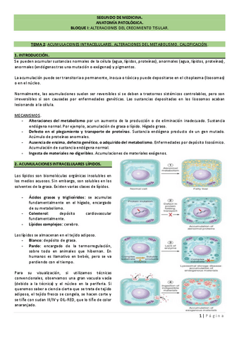 TEMA-2.pdf