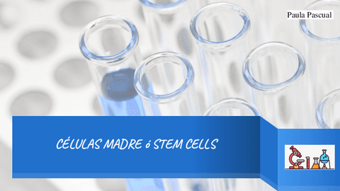 celulas-madre.pdf