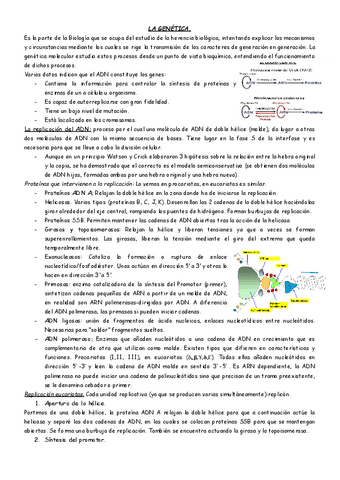 GENETICA-BLOQUE-3..pdf