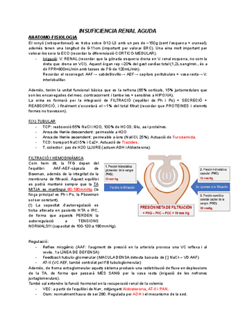 Insuficiencia-renal-aguda-marc.pdf