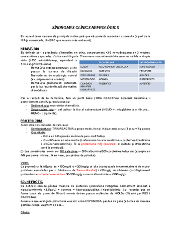 Resum-nefro-1-marc.pdf